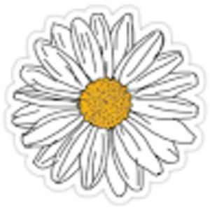 Meet your Posher, Katelyn